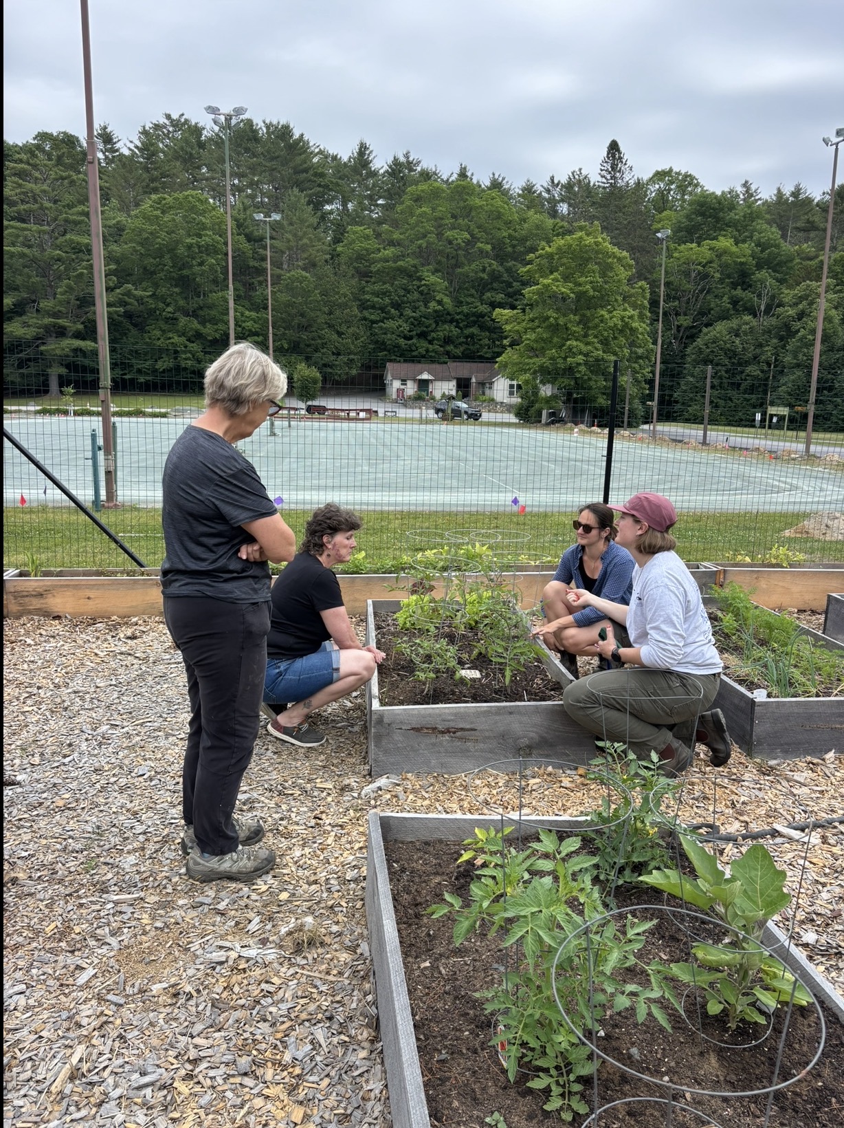 Green Mansions Community Garden profile
