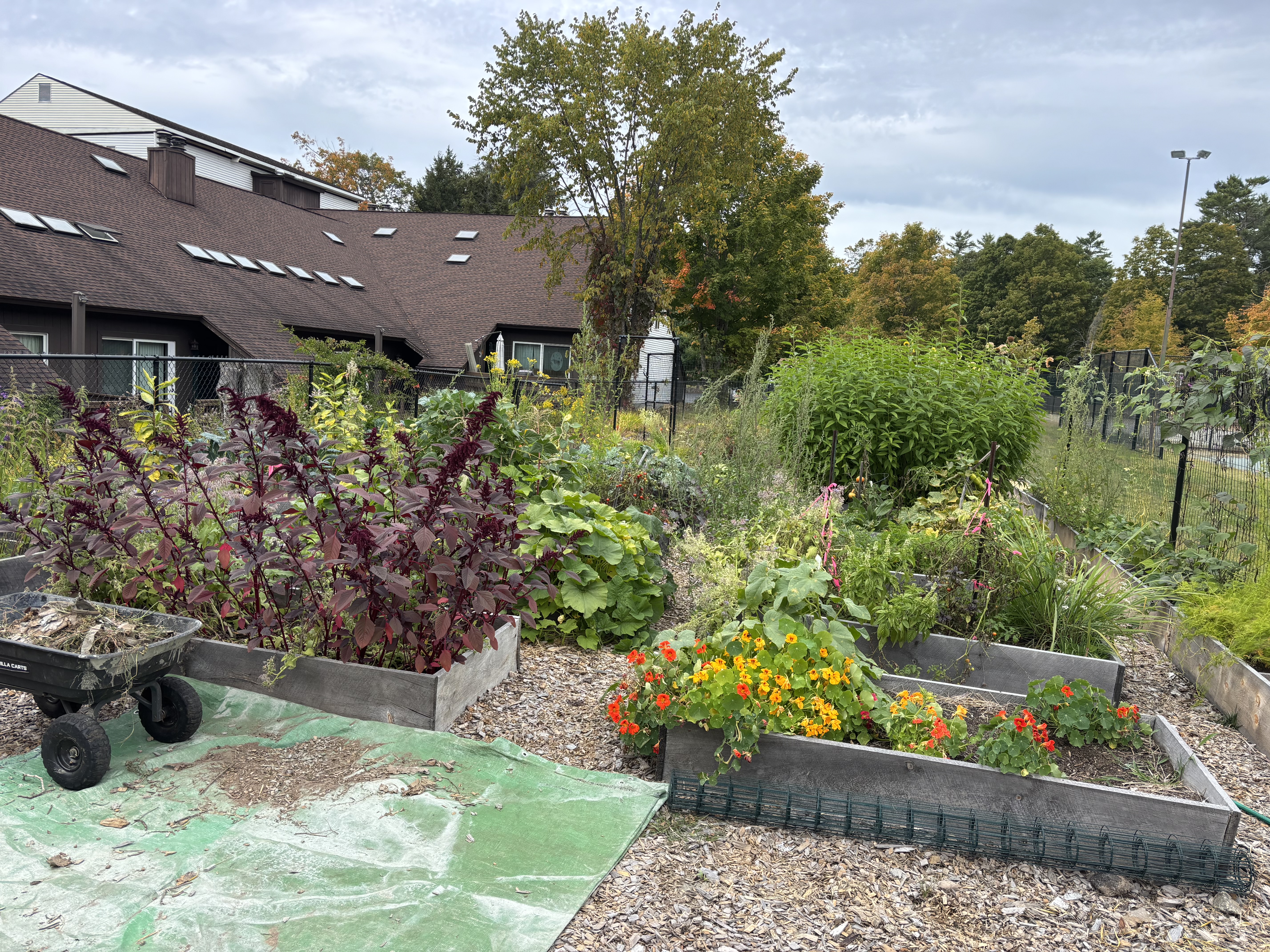Green Mansions Community Garden